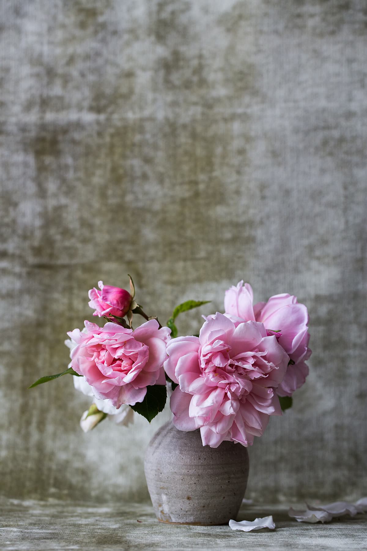 Peônias cor-de-rosa num vaso de cerâmica, diante de uma parede cinza